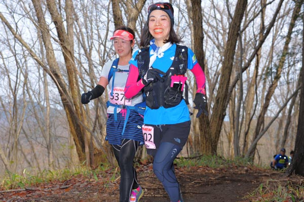 hase30k2015_1419
