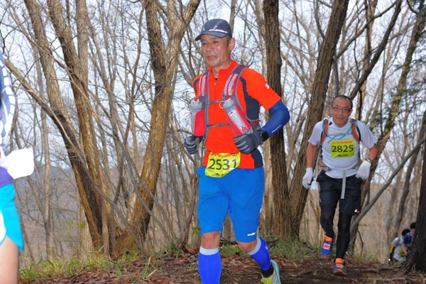 hase30k2015_1435