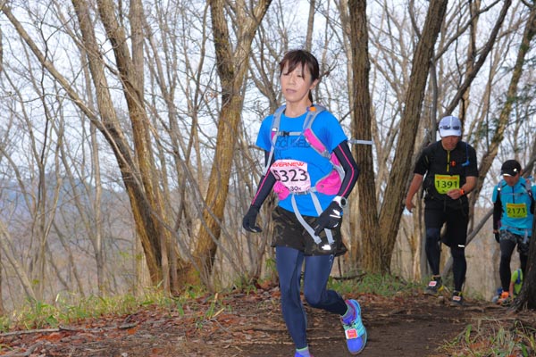 hase30k2015_1464