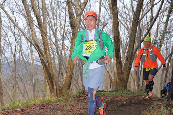 hase30k2015_1474
