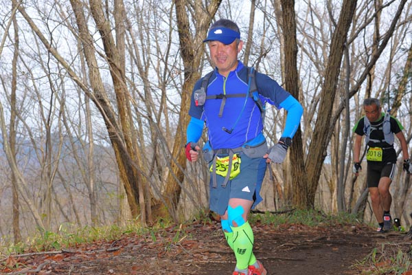 hase30k2015_1475