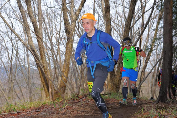 hase30k2015_1524