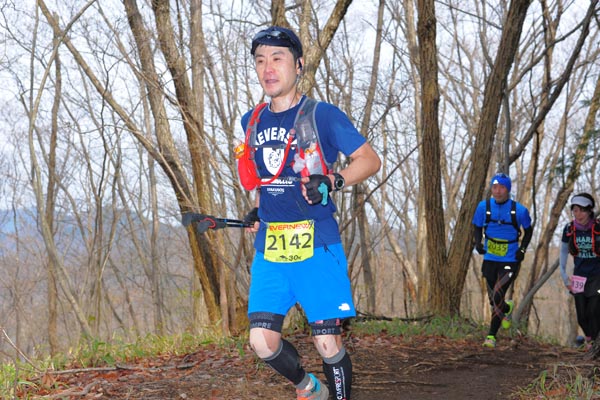 hase30k2015_1533