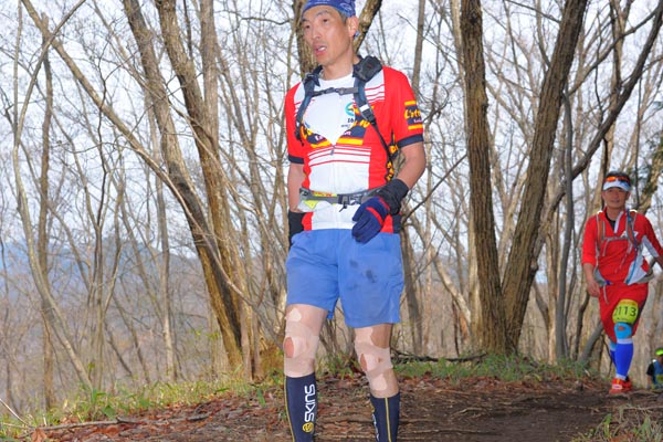 hase30k2015_1571