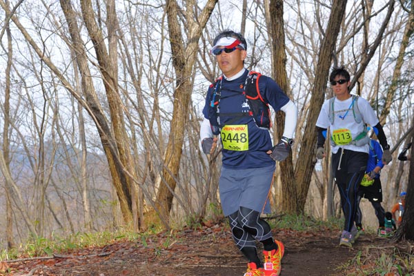 hase30k2015_1611