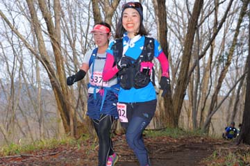 hase30k2015_1419
