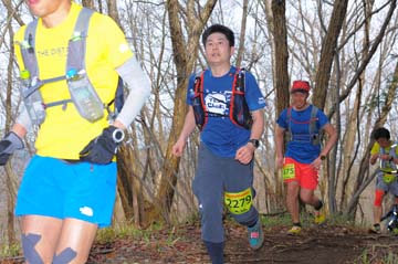 hase30k2015_1421