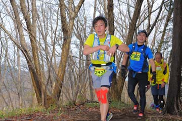 hase30k2015_1423
