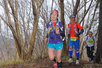 hase30k2015_1434