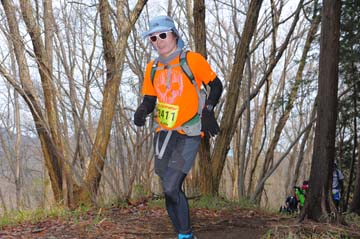 hase30k2015_1449