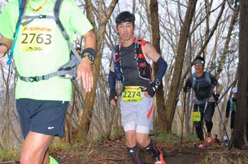 hase30k2015_1454