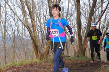 hase30k2015_1465