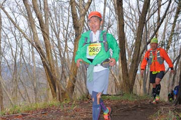 hase30k2015_1474