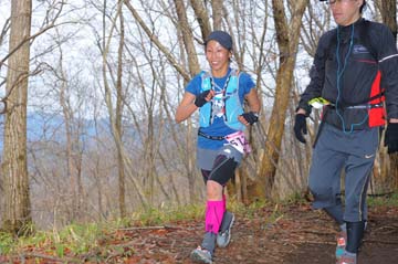 hase30k2015_1477
