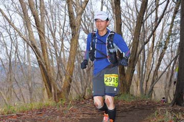 hase30k2015_1478