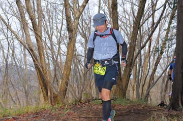 hase30k2015_1484