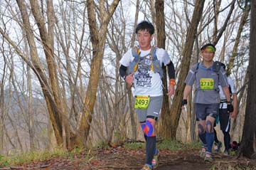 hase30k2015_1488