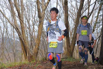 hase30k2015_1489