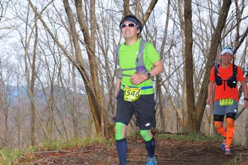 hase30k2015_1499
