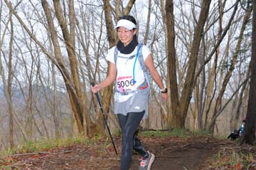 hase30k2015_1502