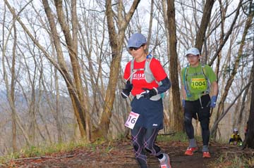 hase30k2015_1518