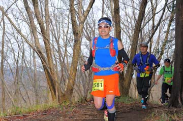 hase30k2015_1526