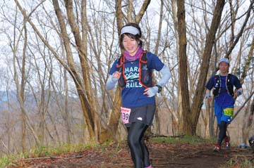 hase30k2015_1535