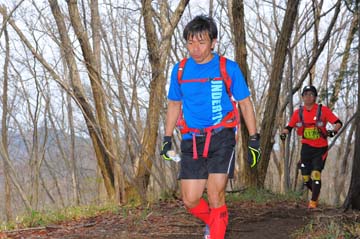 hase30k2015_1562