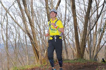 hase30k2015_1581