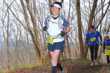 hase30k2015_1583