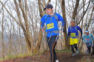 hase30k2015_1584