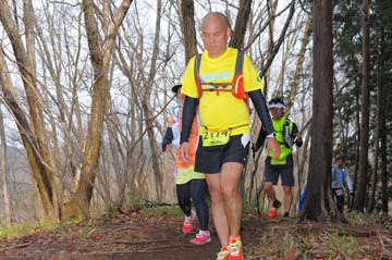 hase30k2015_1591