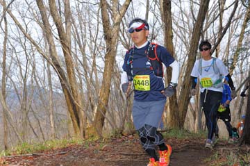 hase30k2015_1611