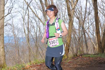 hase30k2015_1637