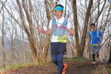 hase30k2015_1664