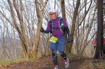 hase30k2015_1674