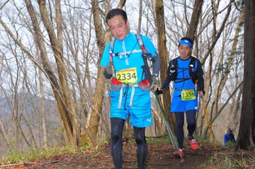 hase30k2015_1697