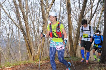 hase30k2015_1731