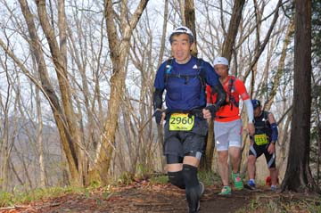 hase30k2015_1734