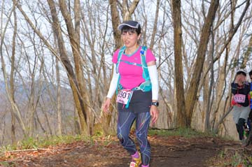 hase30k2015_1744