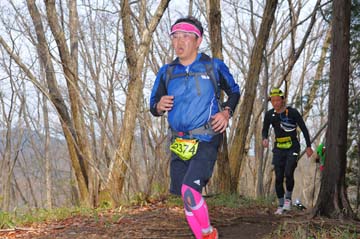 hase30k2015_1750