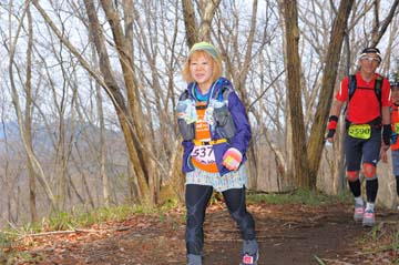 hase30k2015_1763