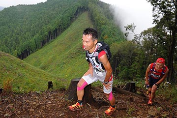 hase71k2012_0066