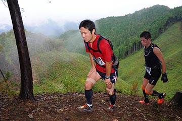 hase71k2012_0164
