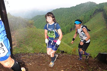 hase71k2012_0258