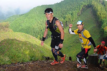 hase71k2012_0460