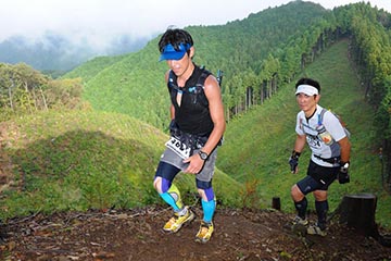 hase71k2012_0499
