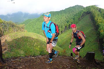 hase71k2012_0551