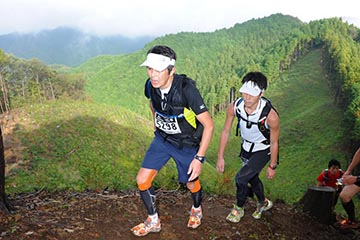 hase71k2012_0604