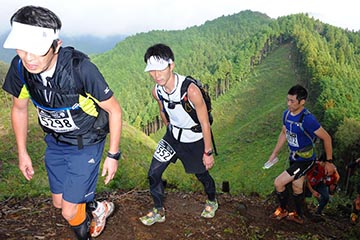 hase71k2012_0605